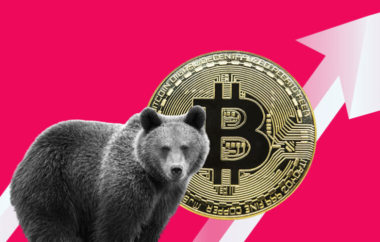 The Psychology Of Bear Markets