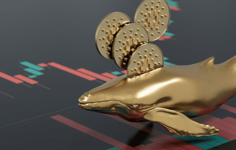 Bitcoin Will Trend Lower Because Whales Are Still Selling