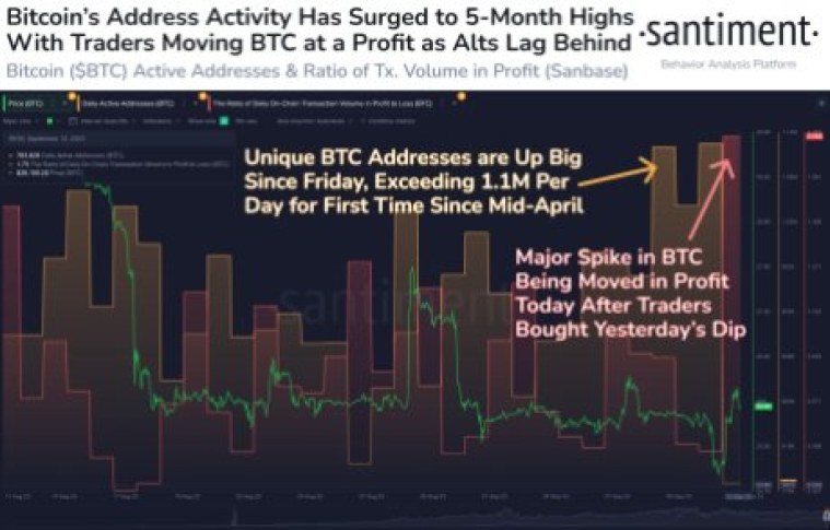 Bitcoin Wallet Activity Touches 5-Month High, Will BTC Price Follow?