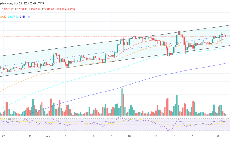 Spot Bitcoin ETF Is ‘A Buy The News’ Event: Pantera Capital CEO