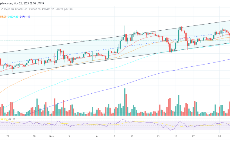 Spot Bitcoin ETF Odds ‘Might Have Increased To 100%’: Matrixport